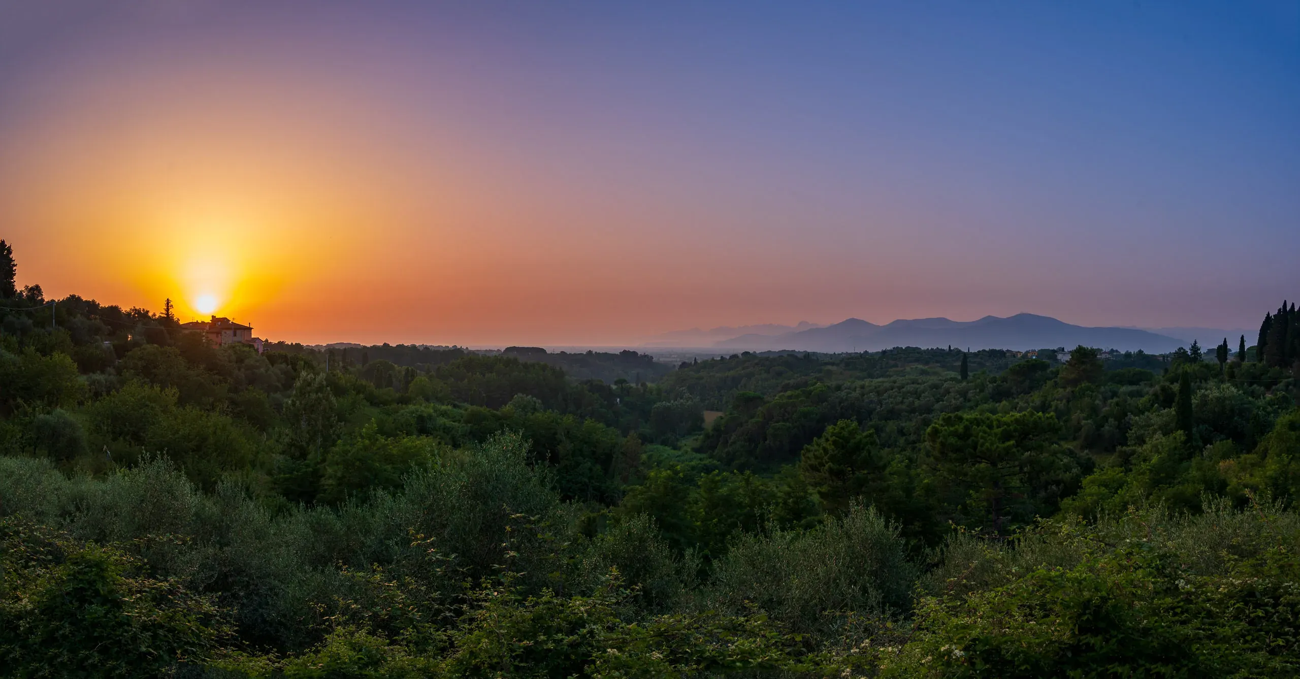 Panorama-Abenddämmerung über bewaldeten Hügeln