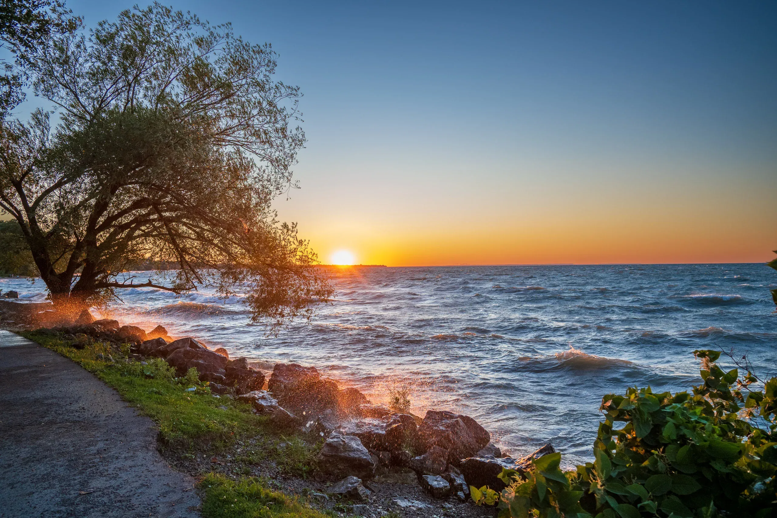 Baum am Seeufer im warmen Abendlicht, Wellen und Steine im Vordergrund
