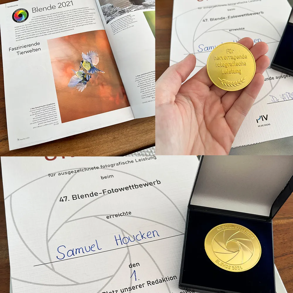 “1st Place in Competition” – “Award”
