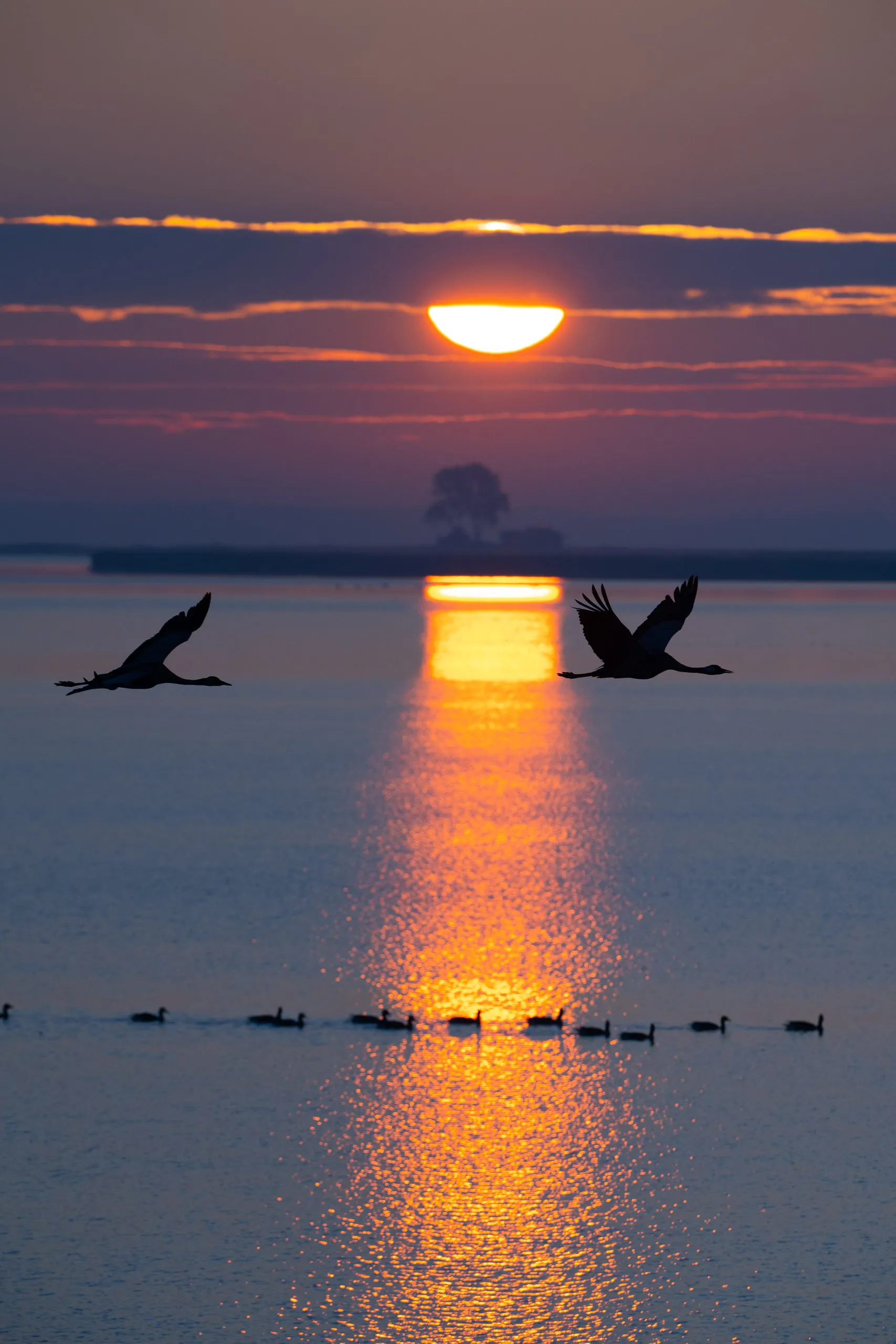 Urlaub auf Zingst – Bild 13