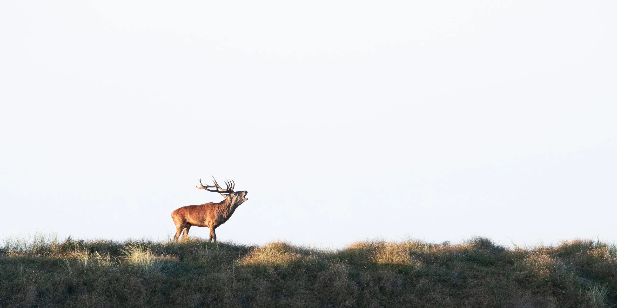 Urlaub auf Zingst – Bild 1