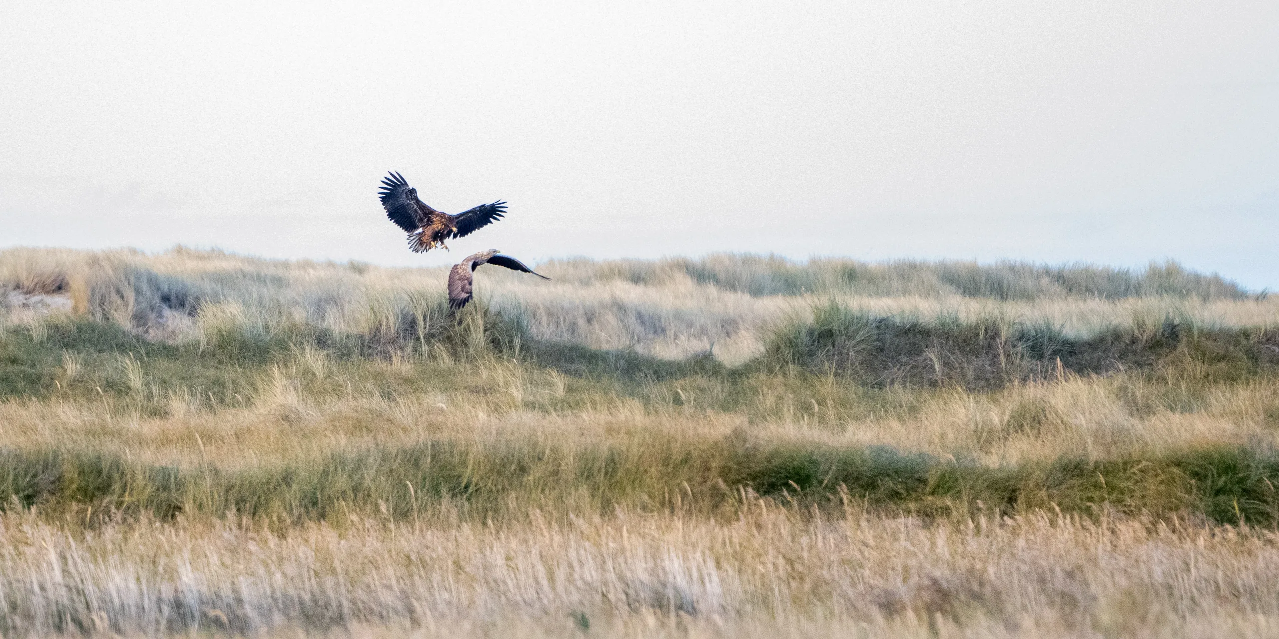 Urlaub auf Zingst – Bild 4