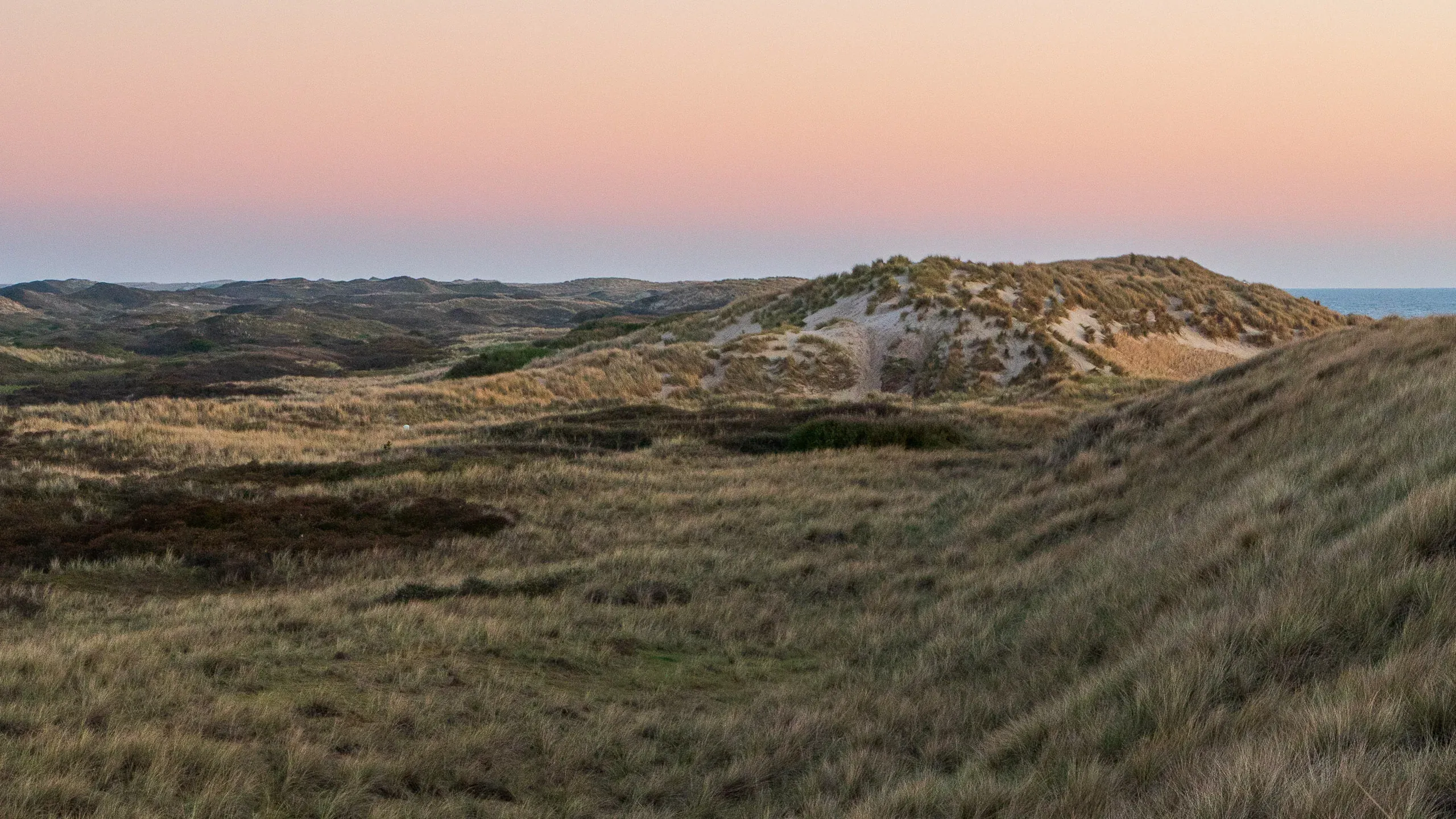 Eine Woche auf Texel – Bild 2