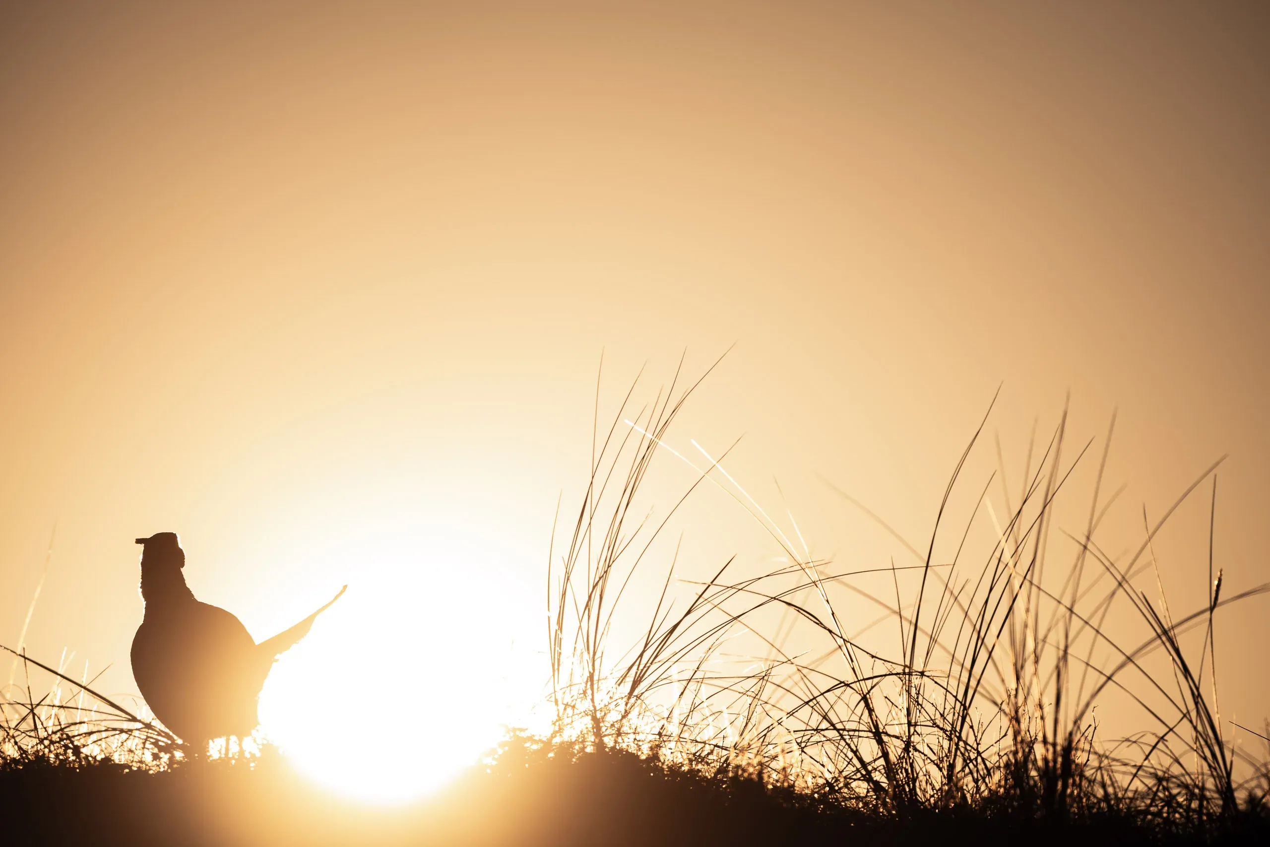 Eine Woche auf Texel – Bild 23