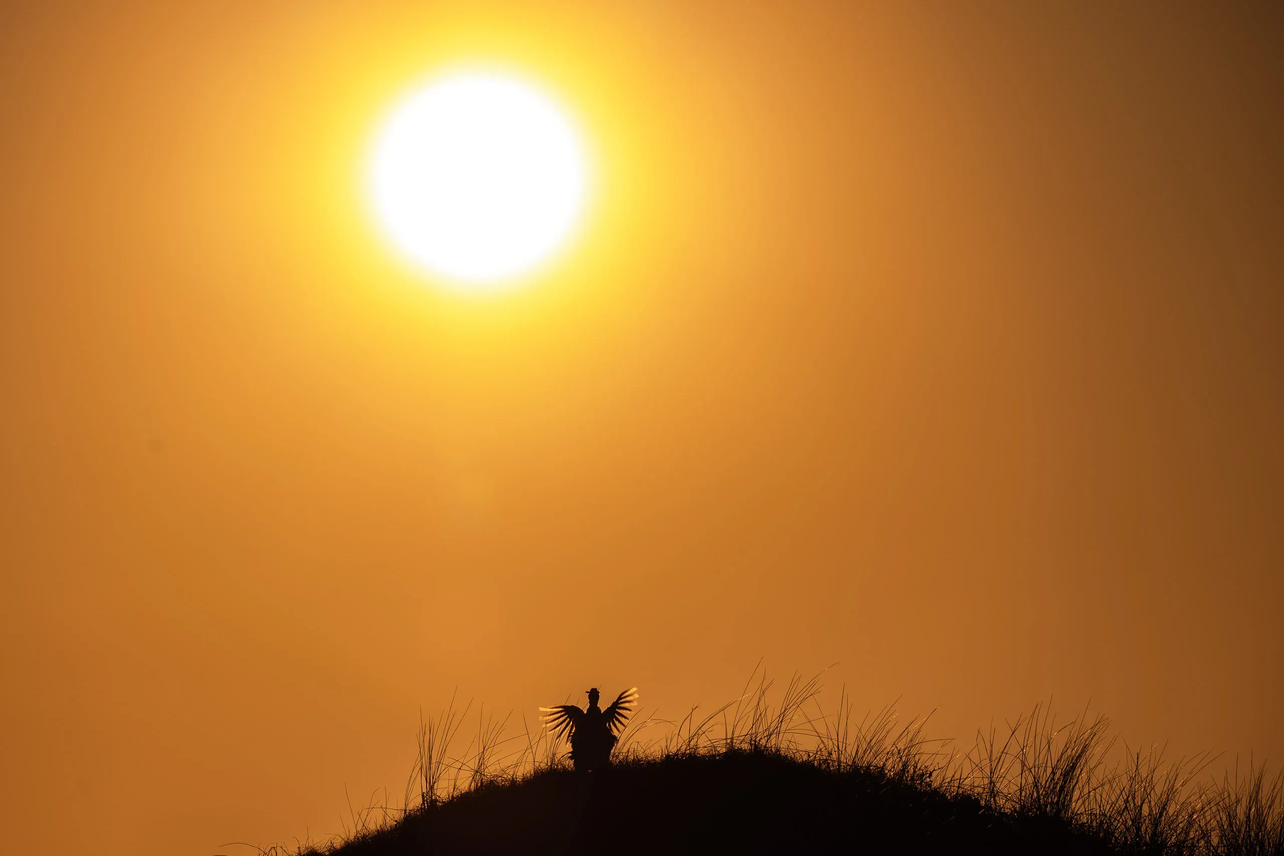 Eine Woche auf Texel – Bild 24