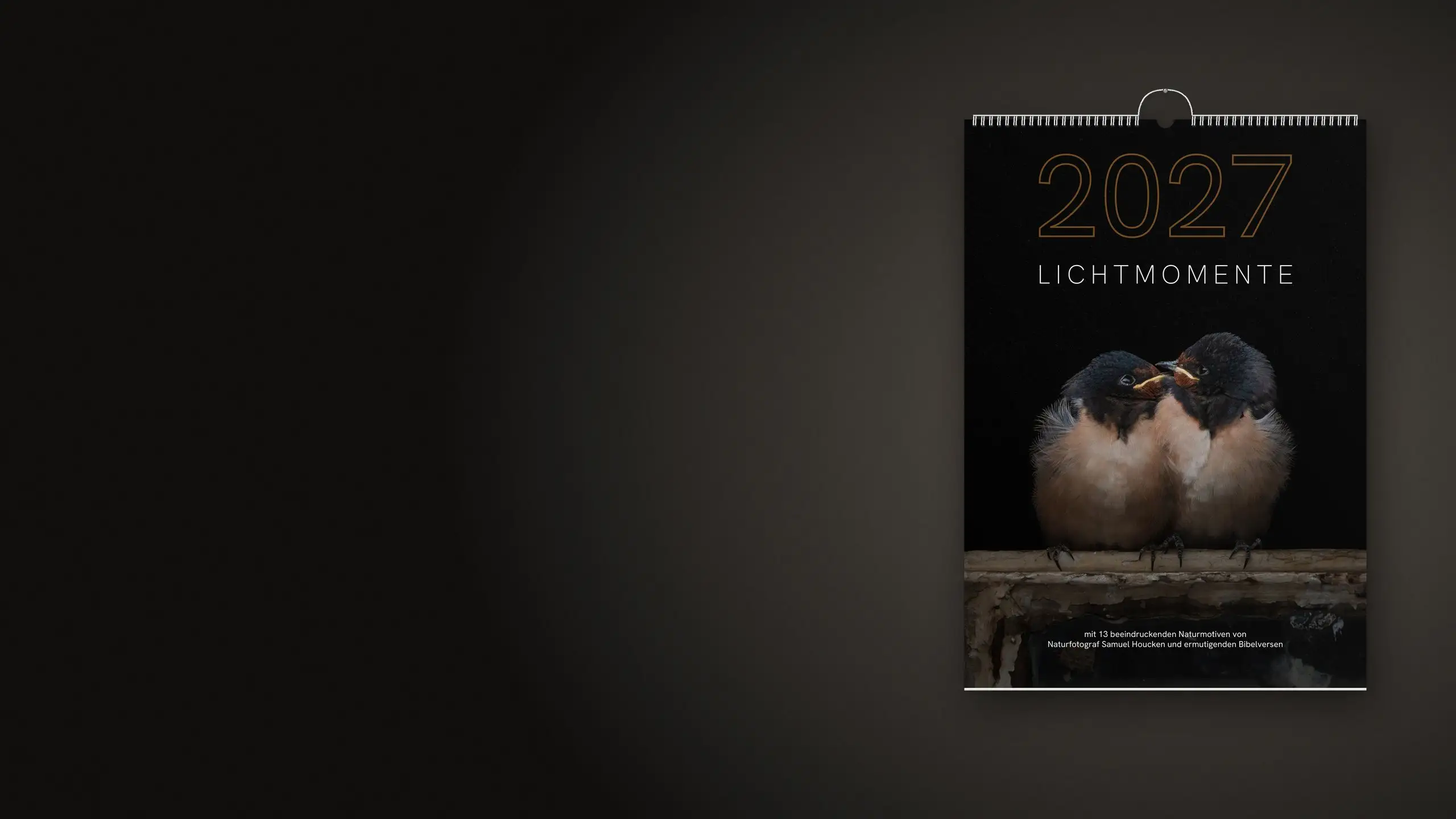 Wandkalender „Lichtmomente 2027“ mit Spiralbindung an einer dunklen Wand – Titelblatt mit zwei jungen Rauchschwalben