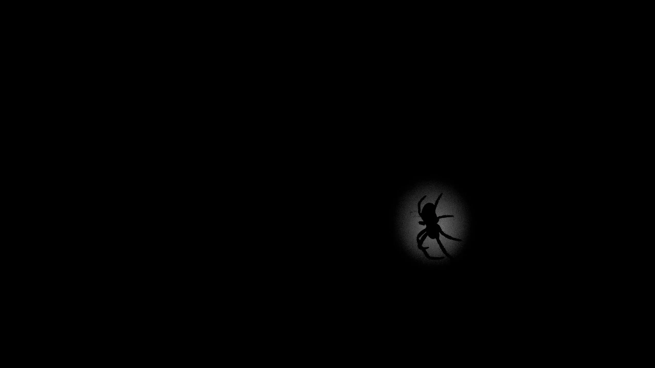 Spinne als Silhouette in einem weichen Lichtkreis vor Schwarz