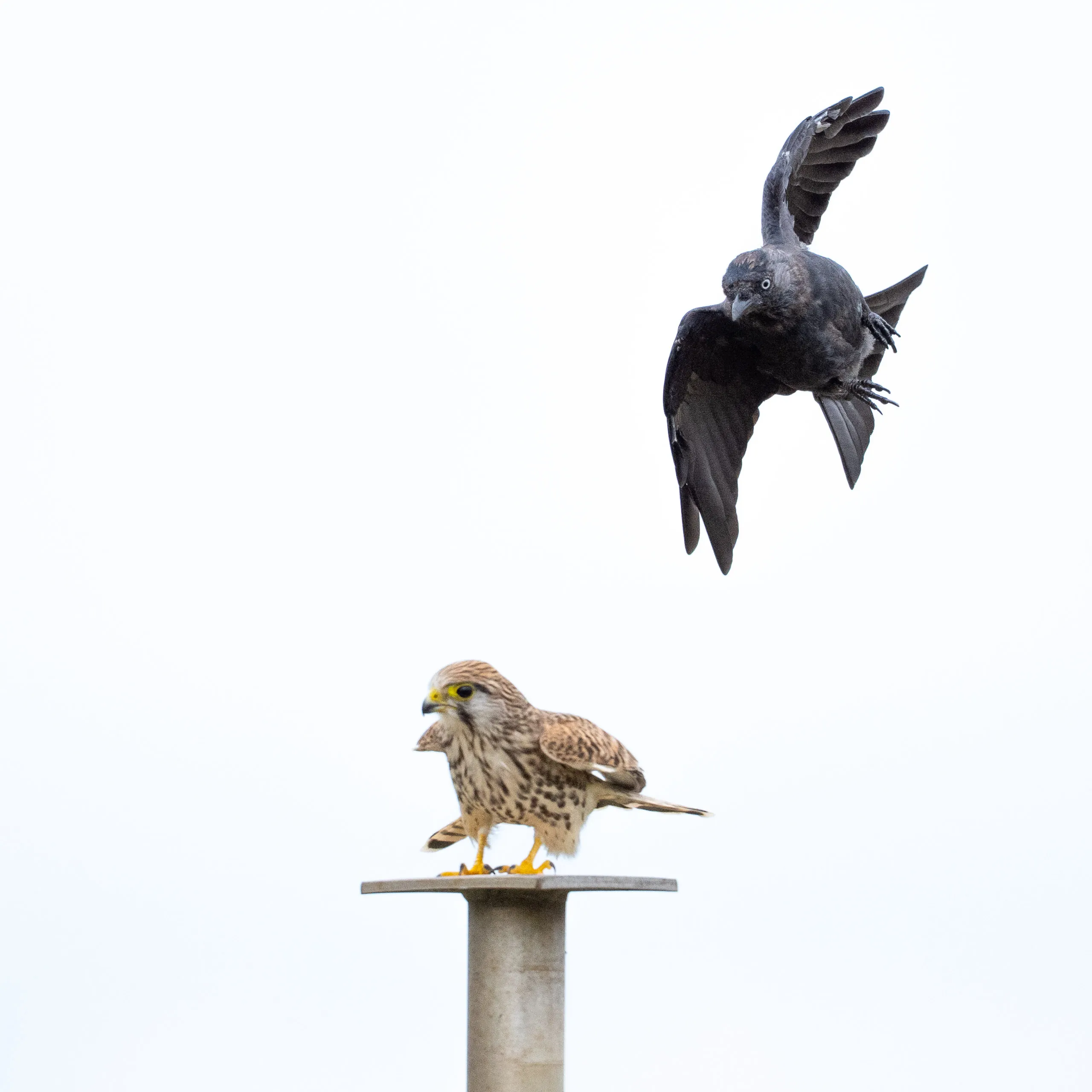 Katwijk – Bild 11
