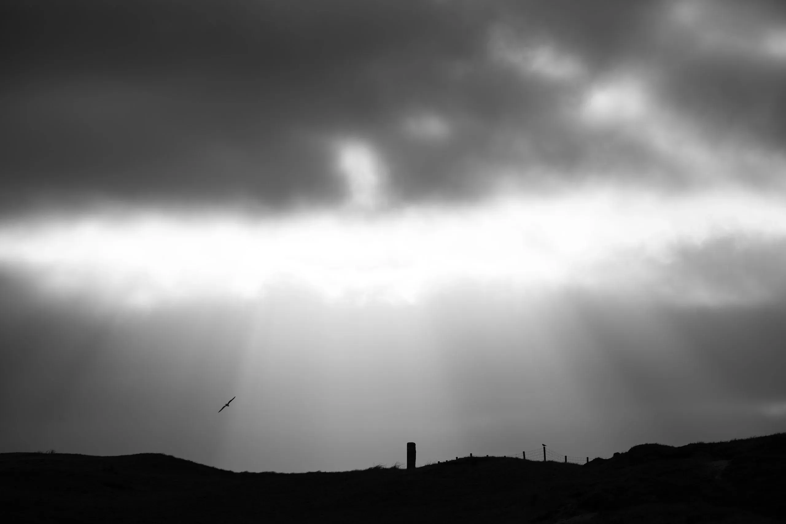 Eine Woche auf Texel – Bild 29