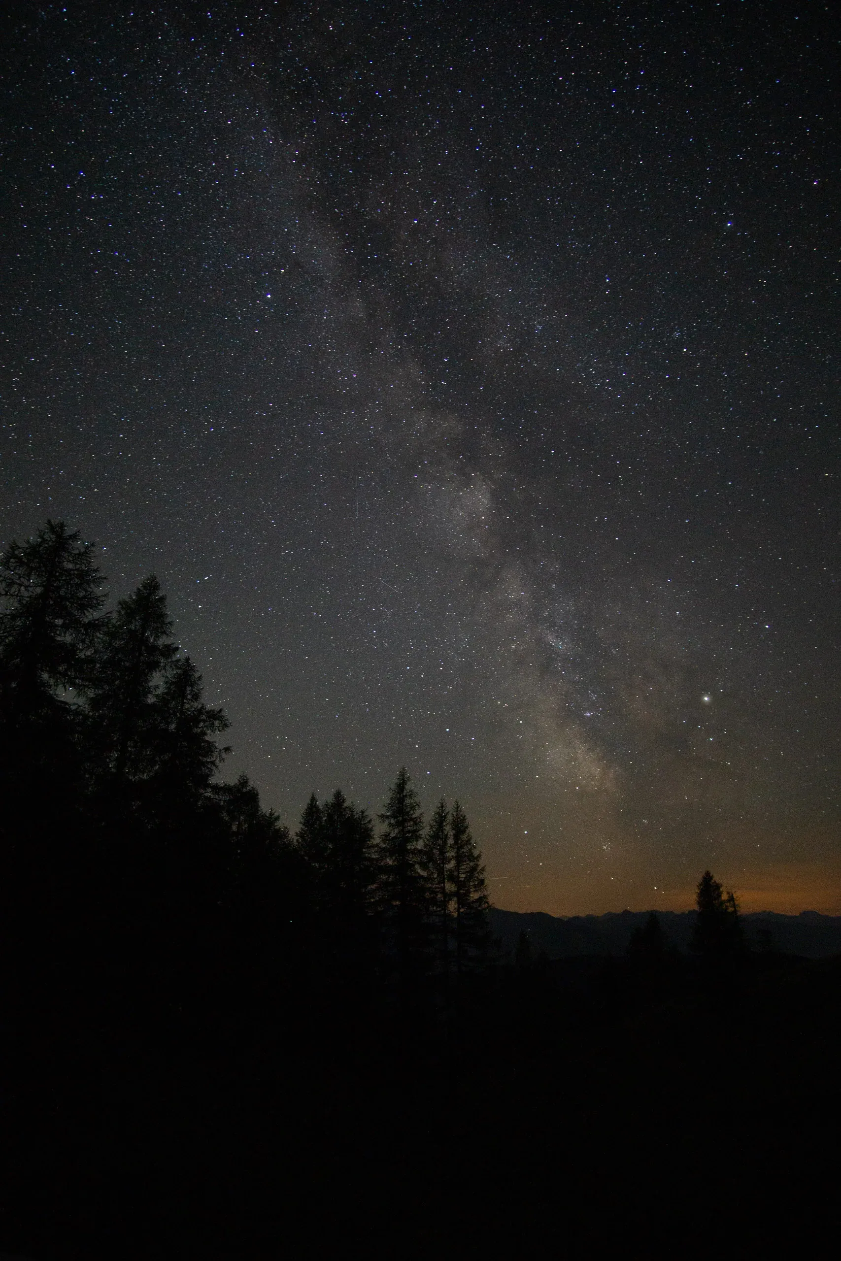 Die Milchstraße wölbt sich über die Silhouette von Bäumen und Bergen