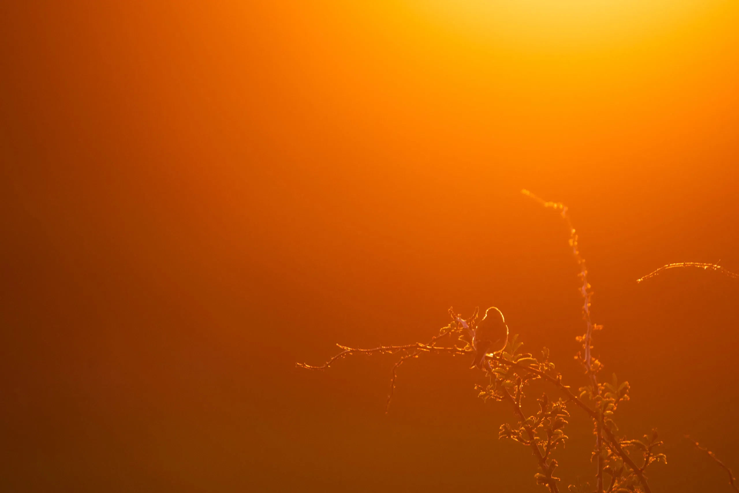 Eine Woche auf Texel – Bild 28