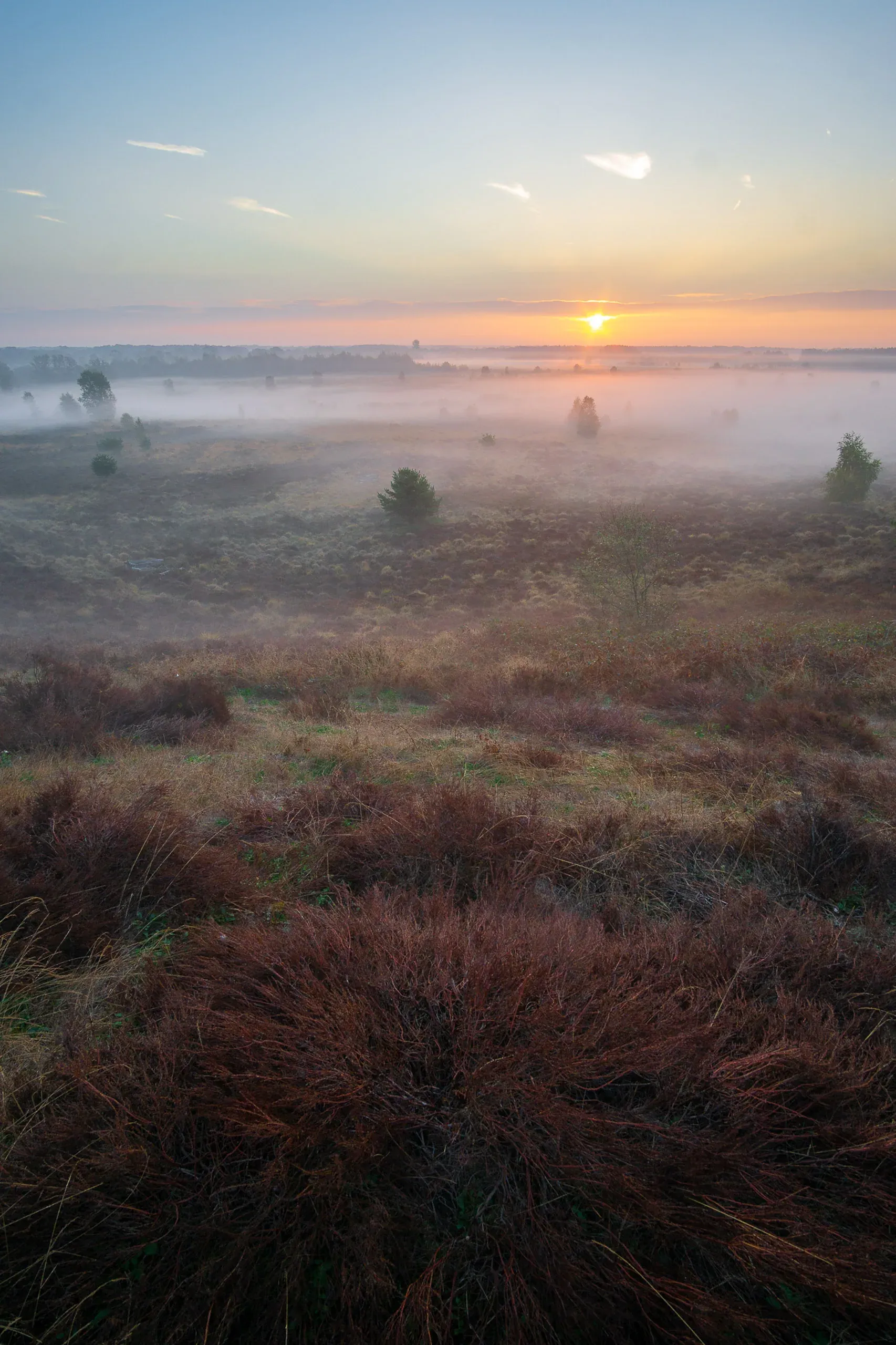 Nebel über einer weiten Heidelandschaft im ersten Sonnenlicht