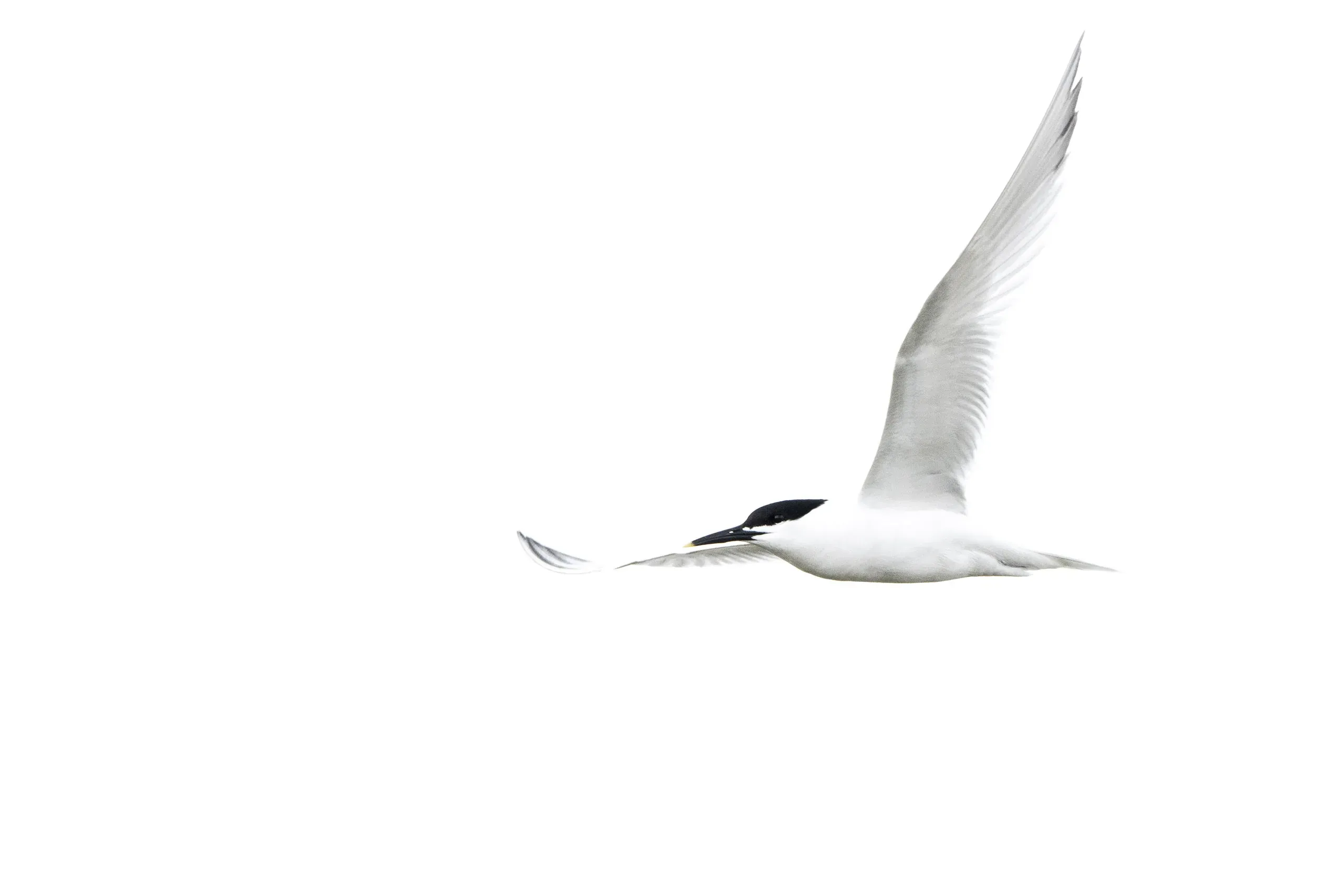 Eine Woche auf Texel – Bild 10