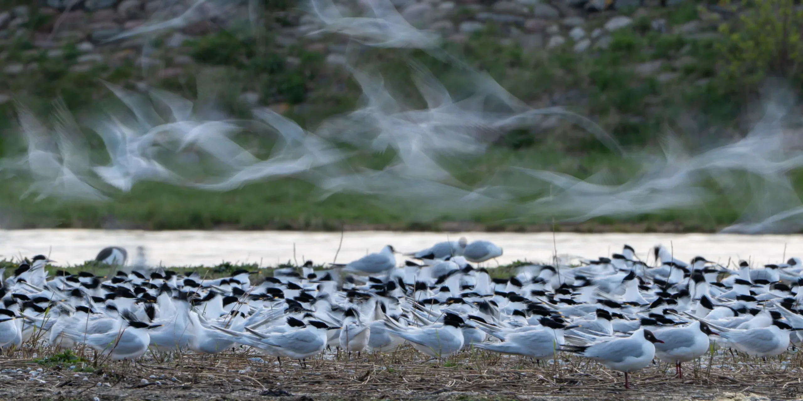 Eine Woche auf Texel – Bild 11