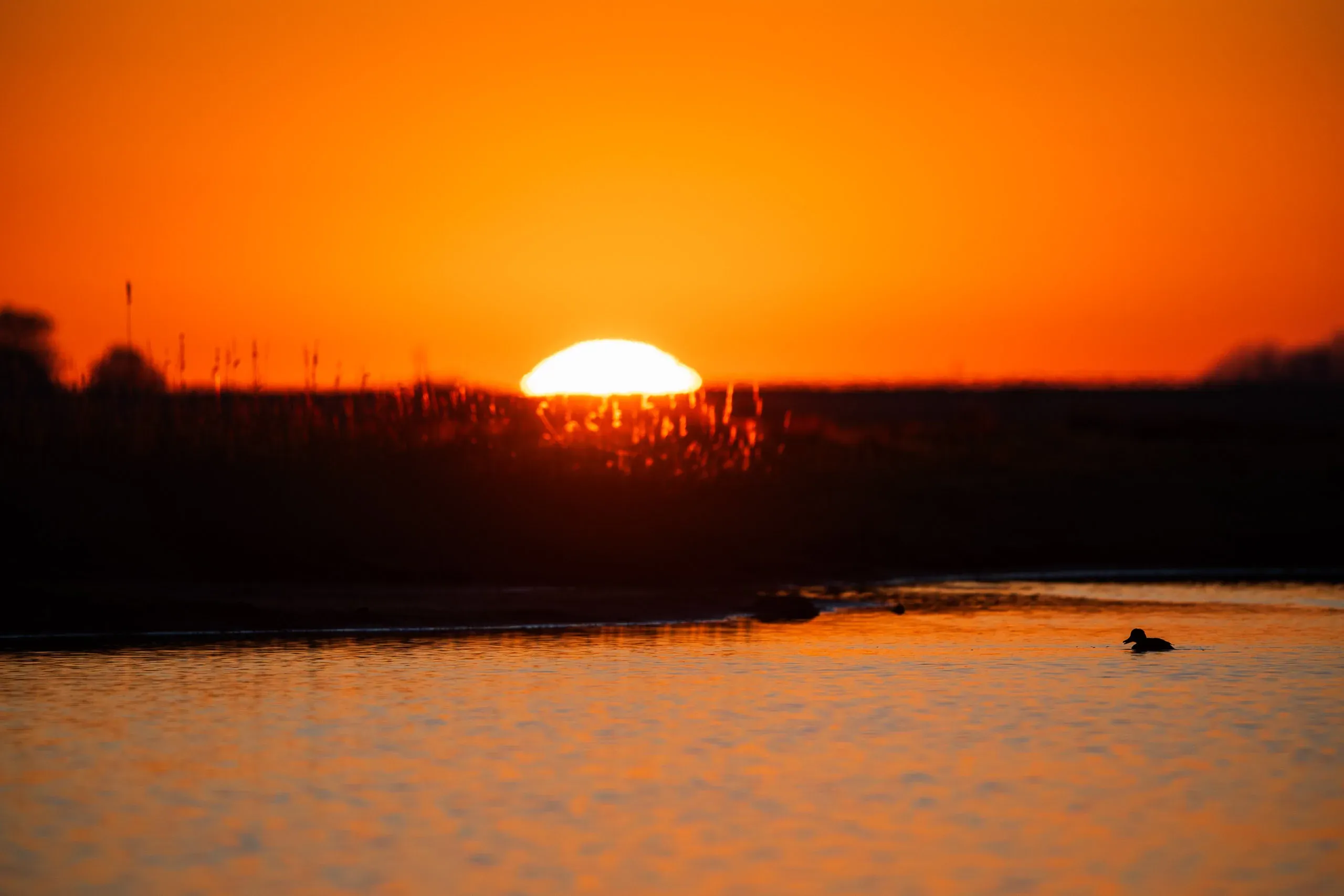 Eine Woche auf Texel – Bild 27