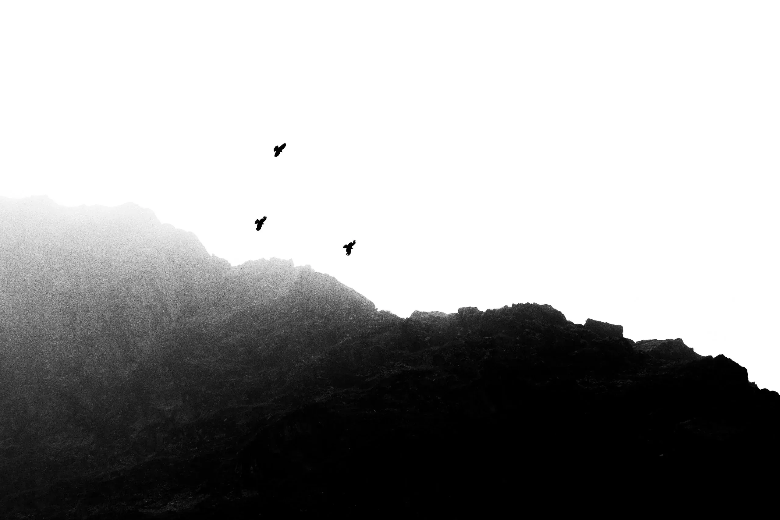 Drei Vögel kreisen über einem nebligen Bergkamm, minimalistisch in Schwarzweiß