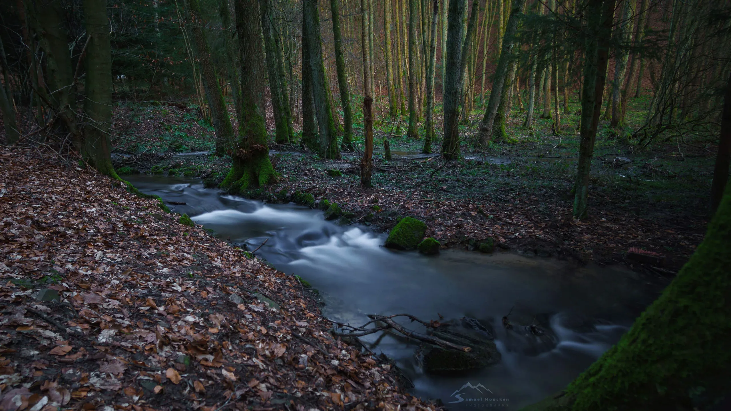 Waldbach mit Langzeitbelichtung zwischen moosbewachsenen Steinen