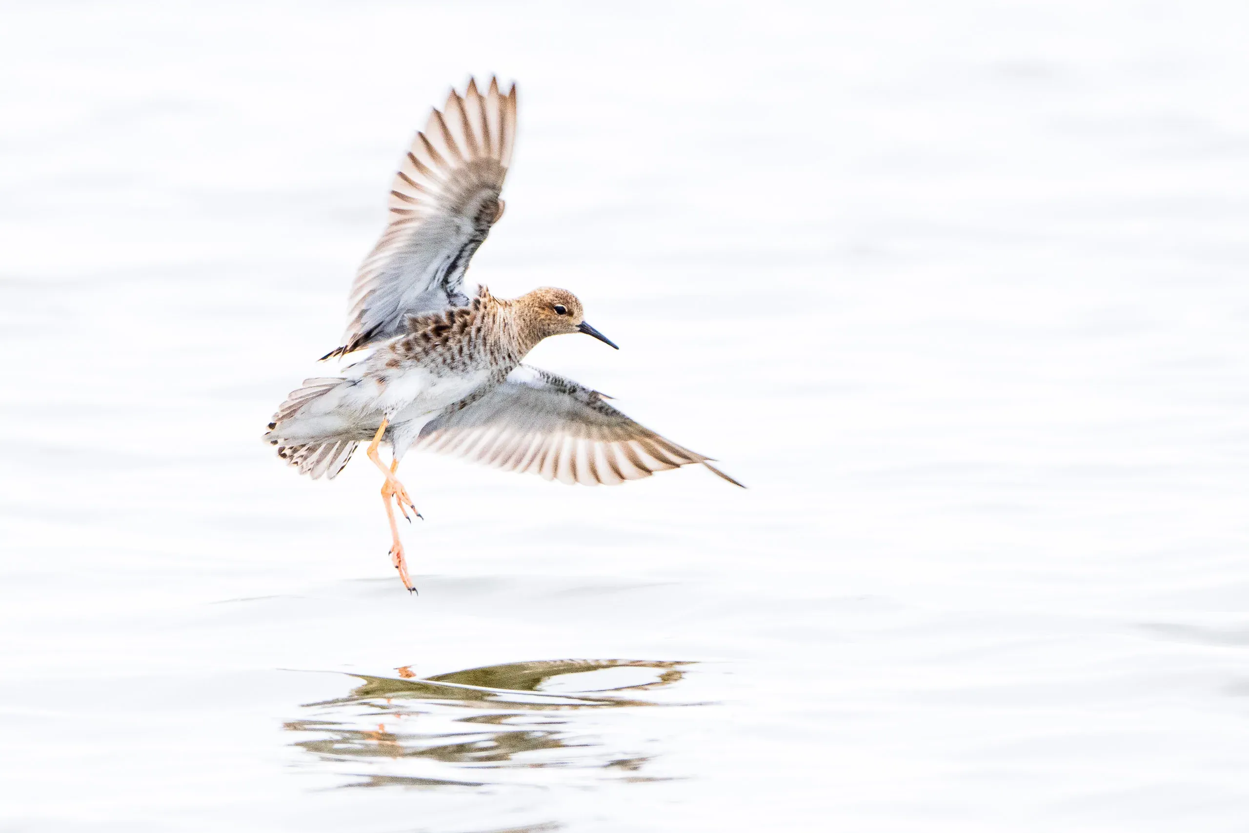 Eine Woche auf Texel – Bild 13
